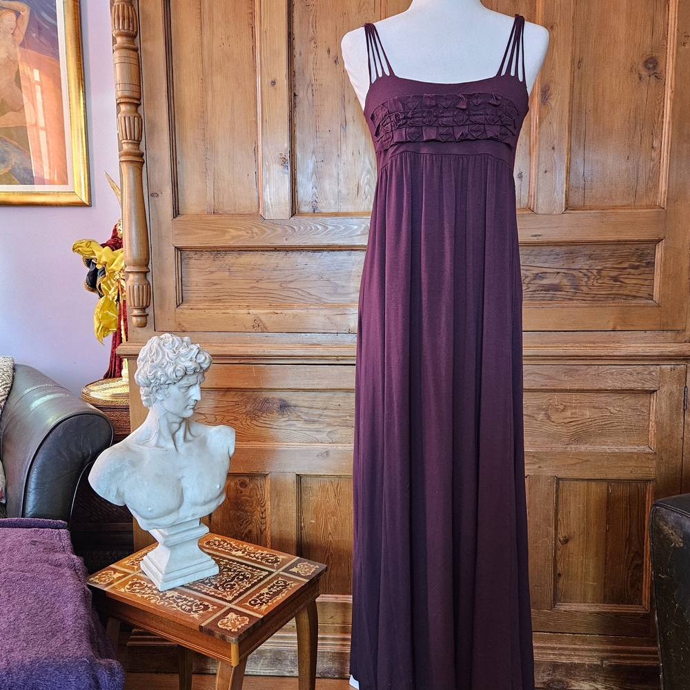 Max Studio Deep Purple Maxi Dress With Elegant Detailing